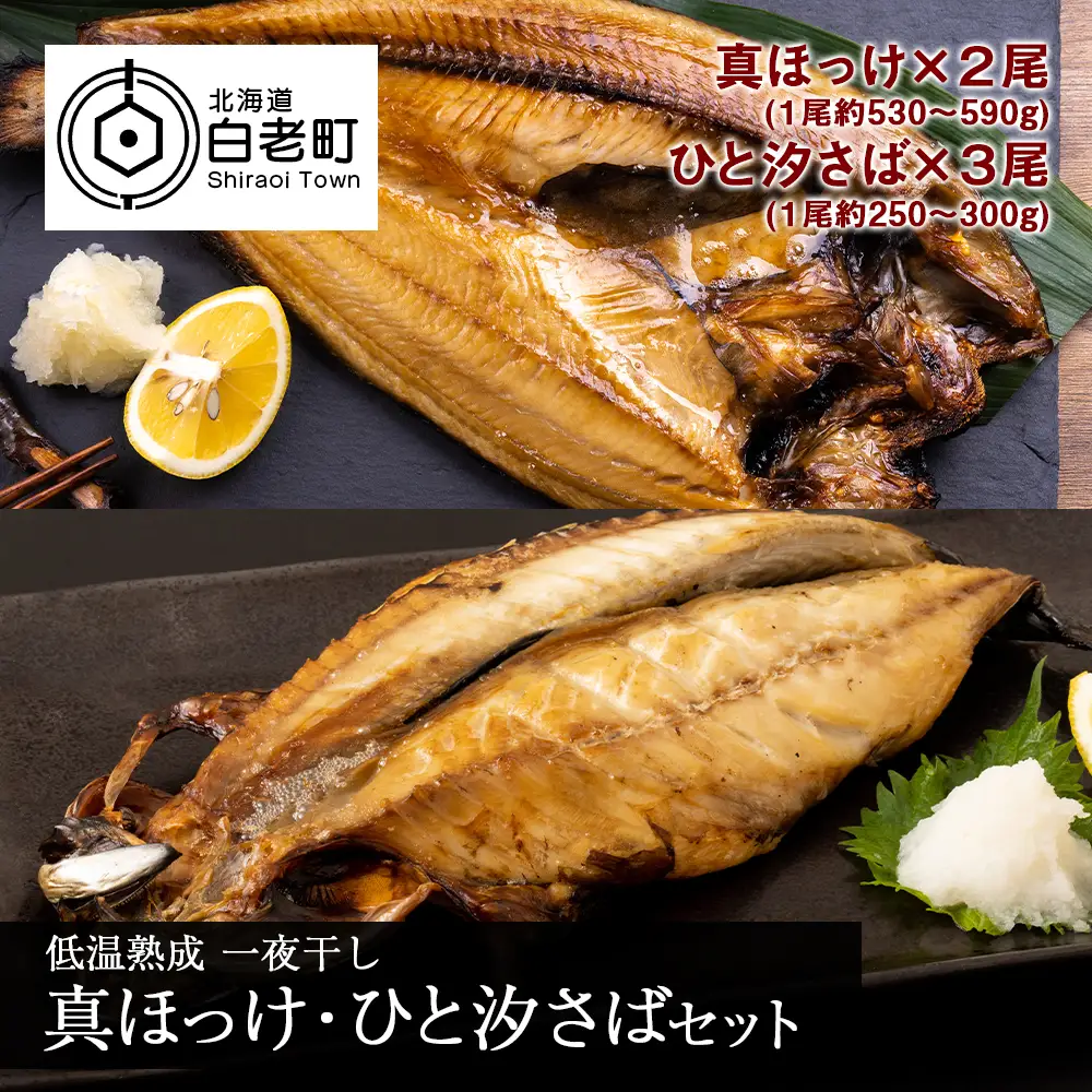低温熟成 一夜干し 真ほっけ・ひと汐さば セット AA026