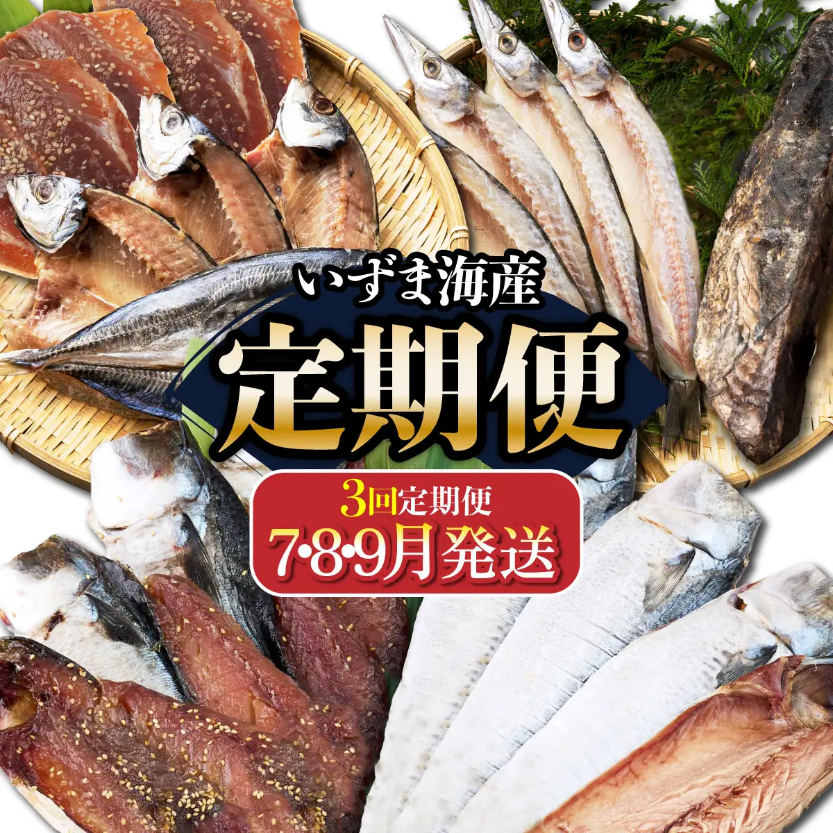 【３回定期便】干物定期便　夏お届けコース（７、８、９月お届け） 頒布会