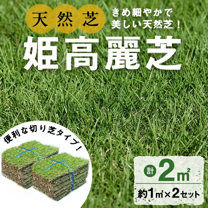 鹿児島県産＜天然芝＞姫高麗芝 2平米(約1平米×2セット) 芝 芝生 天然 天然芝 切り芝 DIY ガーデニング 高麗芝 姫高麗芝 高密度 鹿児島県 お庭 観賞用 a2-118
