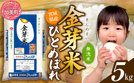 金芽米5kg無洗米 宮城県産金芽米無洗
