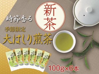 33-12 新茶 静岡川根茶大走り新茶100g×6本