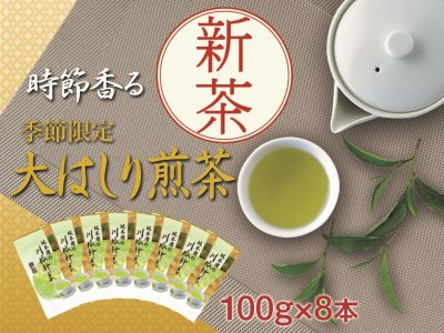 43-5 新茶 静岡川根茶大走り新茶100g×8本