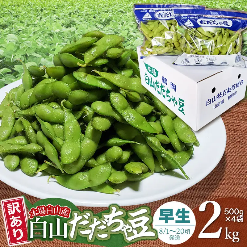 【令和8年産先行予約】【訳あり】本場白山産 白山だだちゃ豆【早生(わせ)】 2kg（500g×4袋）　農家 長四郎