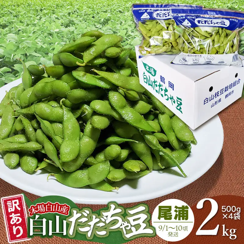 【令和8年産先行予約】【訳あり】本場白山産 白山だだちゃ豆【尾浦(おうら)】 2kg（500g×4袋）　農家 長四郎