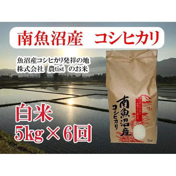 【令和7年産】【定期便 南魚沼産】コシヒカリ 白米5kg×6回