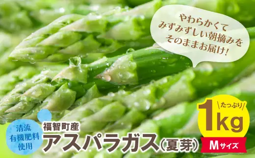 Y18-22-01 清流・有機肥料使用 アスパラガス(夏芽) 1kg(M) 【2026年6月より順次配送開始】 