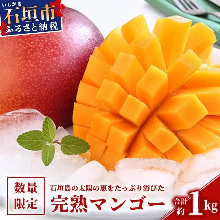 石垣島 マンゴー 約1kg