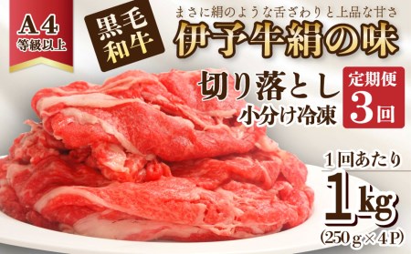 3回定期便 伊予牛絹の味 切り落とし 1㎏×3回 (冷凍) 小分け｜ 黒毛和牛 A4～A5
