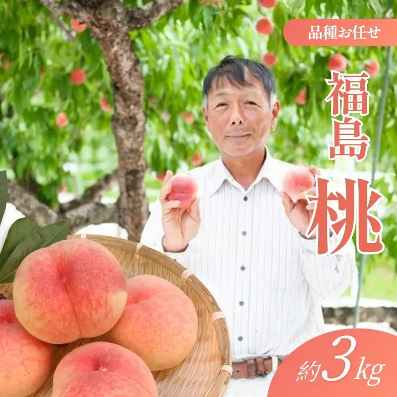 No.2406福島 桃　約3kg【2026年発送】