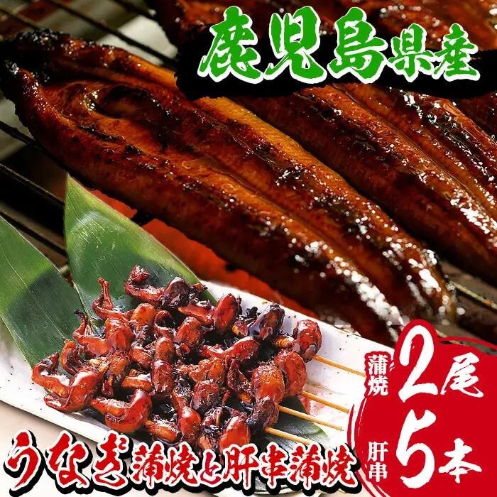 鹿児島県産 うなぎ 蒲焼 大 2尾 うなぎの肝串 5本付【00-025-07】