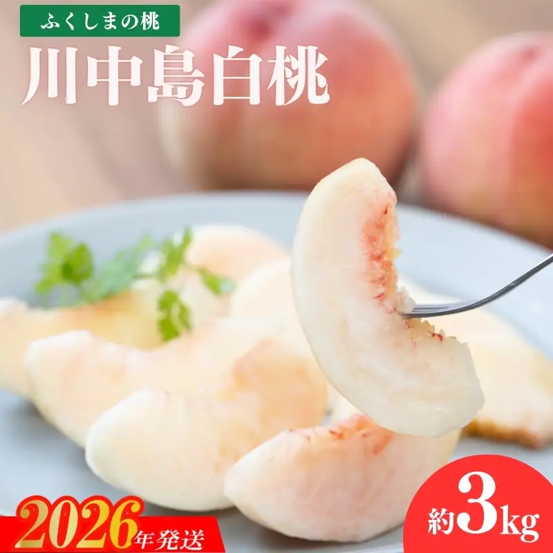 No.2415もも「川中島白桃」 約3kg【2026年発送】