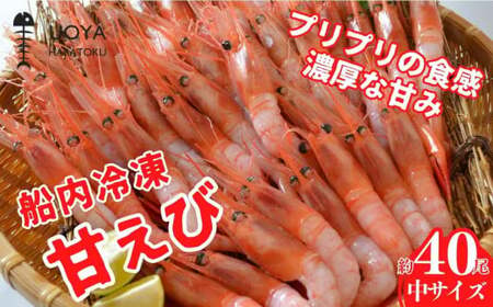 船内冷凍 甘えび（あかえび）中サイズ 40匹入り 700g前後 冷凍 えび エビ 56-02