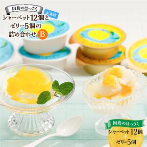 因島のはっさくシャーベット(未凍結）とゼリーの詰め合わせB （シャーベット12個、ゼリー5個）