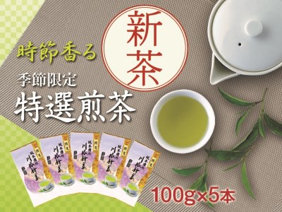 11-54 新茶 静岡川根茶　特選新茶100g×5本