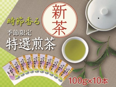 22-11 新茶 静岡川根茶　特選新茶100g×10本