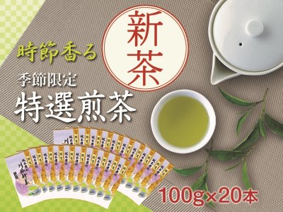 43-6 新茶 静岡川根茶　特選新茶100g×20本