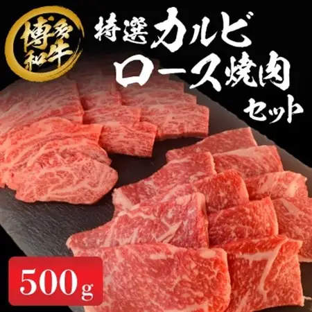 《博多和牛》特選カルビ・ロース焼肉セット500g_肉 焼肉 牛肉 やきにく ヤキニク バーベキュー  肉 黒毛和牛 牛肉 _【配送不可地域：離島】【1355749】