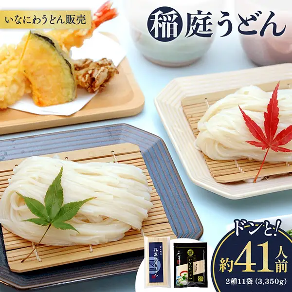 稲庭うどんドンと41人前 2種11袋（3,350g） 稲庭うどん 稲庭うどん 【(株)稲庭うどん販売】[H1504]