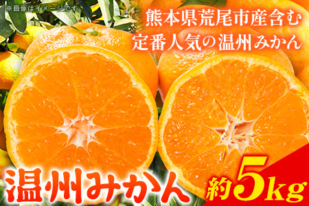 みかん 温州みかん 約 5kg 柑橘 フルーツ ミカン 蜜柑 《11月上旬-12月上旬頃出荷》熊本県 荒尾市産含む 熊本県 荒尾市 フレッシュフーズ 美味しいみかん 旬のみかん ジューシーみかん フルーツみかん
