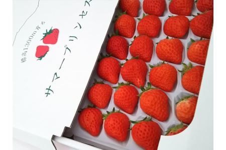 【先行予約R8年 6月下旬より順次発送】みやむら農園　希少な夏いちご『サマープリンセス（２パック）』