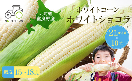 【2026年7月発送】富良野産 ホワイトコーン『ホワイトショコラ』BIG 2Lサイズ10本 とうもろこし