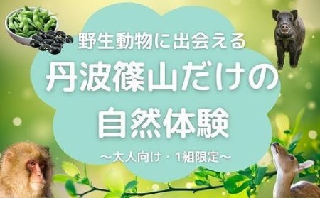 【プライベートプログラム】野生動物に出会える 丹波篠山だけの自然体験 CW025