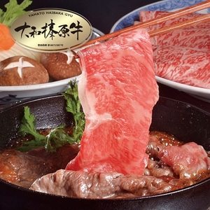 (冷凍) 肉料理 うし源 すき焼き セット サーロイン 4人前 800g／うし源本店 お取り寄せグルメ A5 黒毛和牛 父の日 奈良県 宇陀市 お中元 贈答用 贈り物 暑中見舞い お土産 お歳暮 内祝いまとめ買い 美味しい部位  正月
