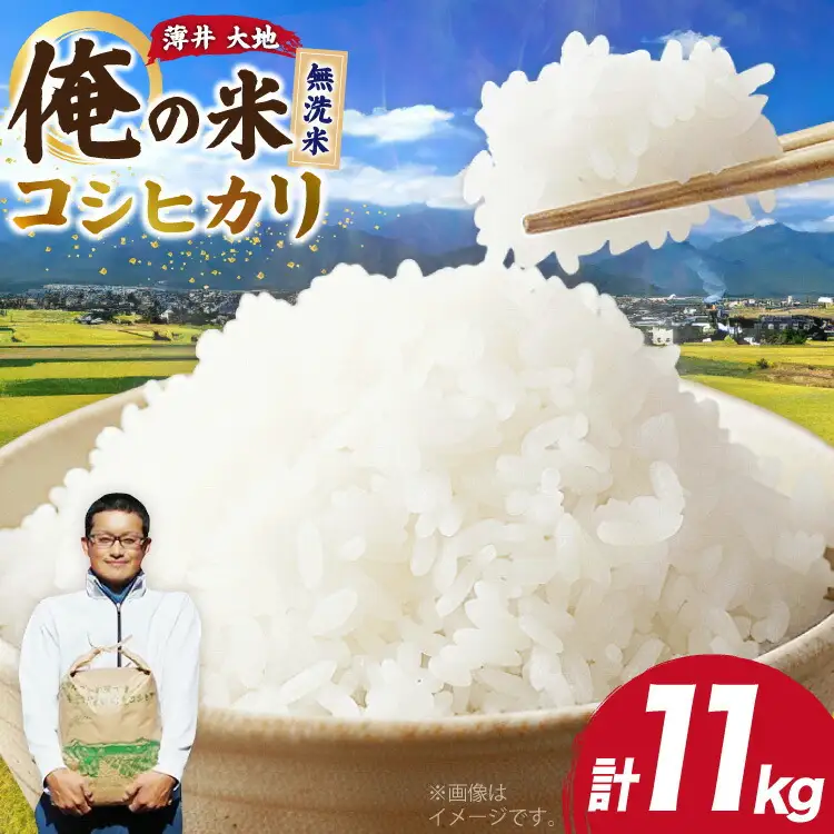 【俺の米】米 令和7年 コシヒカリ 無洗米 11kg [薄井 大地 長野県 池田町 48110782]