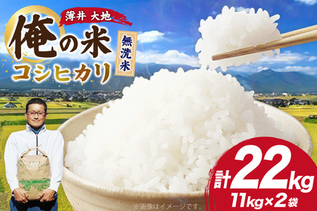 【俺の米】 米 令和7年 コシヒカリ 無洗米 11kg 2袋 計 22kg [薄井 大地 長野県 池田町 48110781] 
