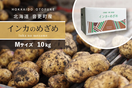 ［先行受付］おとふけ産じゃがいも「インカのめざめ」10kg（Mサイズ）【A36】