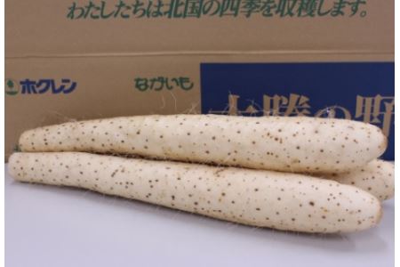 北海道十勝産ながいも 6本セット【A51】