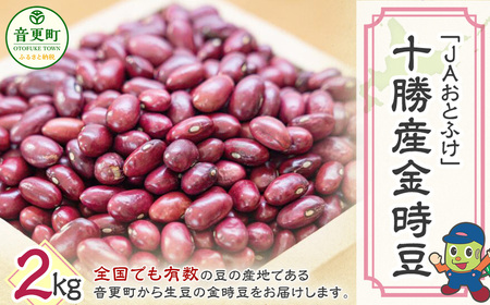 【令和7年産】 金時豆2kg「JAおとふけ」【B14】