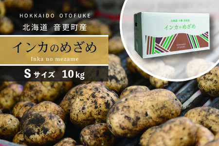 ［先行受付］おとふけ産じゃがいも「インカのめざめ」10kg（Sサイズ）【B29】