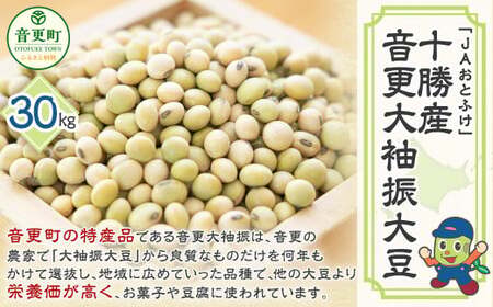 【令和7年産】 音更大袖振大豆30kg「JAおとふけ」【D16】