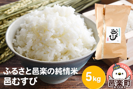 【白米】ふるさと邑楽の純情米 邑楽町産のお米 邑むすび 5kg 令和7年産