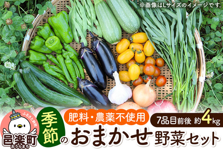 自然栽培 春夏 季節のお任せ野菜セット Mサイズ