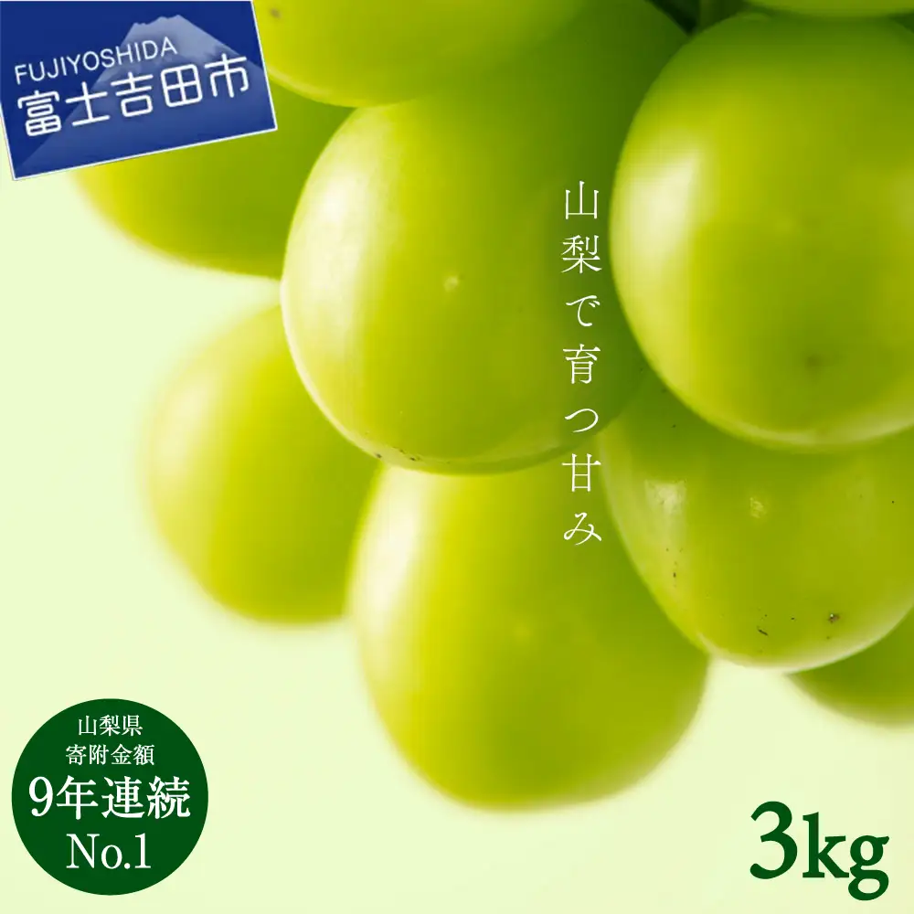 シャインマスカット 【2026年発送】山梨県産シャインマスカット3kg フルーツ