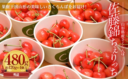 《先行予約 2026年6月上旬発送》山形県産さくらんぼ佐藤錦 秀品 L玉以上 ちぇりっち 120g × 4個入 FSY-0010