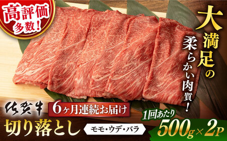 【定期便】 牛肉 佐賀牛切り落とし 総計6.0kg NAB054 牛肉 全6回