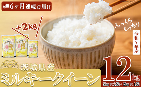 米 令和7年産ミルキークイーン 12kg 6ヶ月連続お届け 1月発送