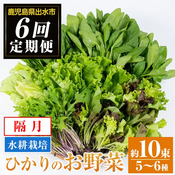 i678-A ＜定期便・計6回(隔月)＞ひかりのお野菜(約10束・5～6種) 野菜 やさい 葉物 旬 定期便 ほうれん草 水菜 チンゲン菜 小松菜 リーフレタス ルッコラ 水耕栽培 ミックスリーフ 山東白菜 何が届くかはお楽しみ【ひかりの郷】