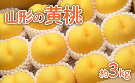 山形の黄桃 約3kg(6～13玉)[柔らかくなる品種・果肉やや硬め]【令和8年産先行予約】FU22-055 くだもの 果物 フルーツ 山形 山形県 山形市 2026年産