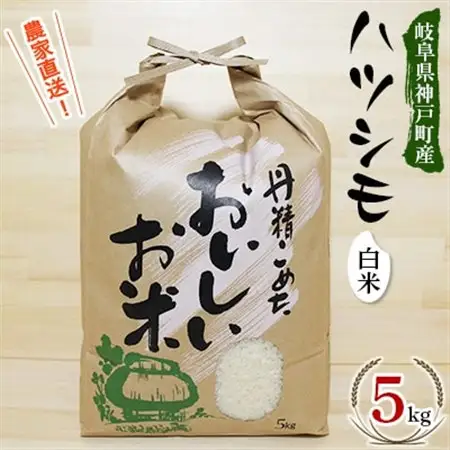 【令和7年産】岐阜県神戸町:農家直送!岐阜ハツシモ　白米　5kg【1354301】