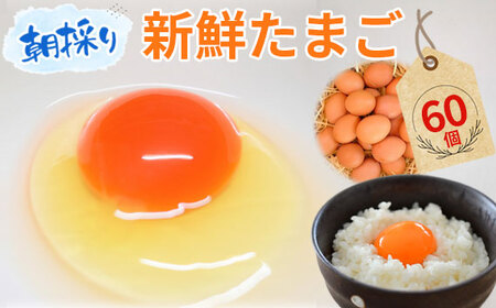 【60個】美味しい産みたて朝採り新鮮たまご（手集卵）ミネラルエッグ ／ 卵 生卵 鶏卵 濃厚 鮮度抜群 朝取り TKG 卵かけご飯 お取り寄せ グルメ 大容量 まとめ買い 詰め合わせ 弁当 お菓子作り お裾分け 産地直送 厳選 旨み コク 安心安全 千葉県 No.051
