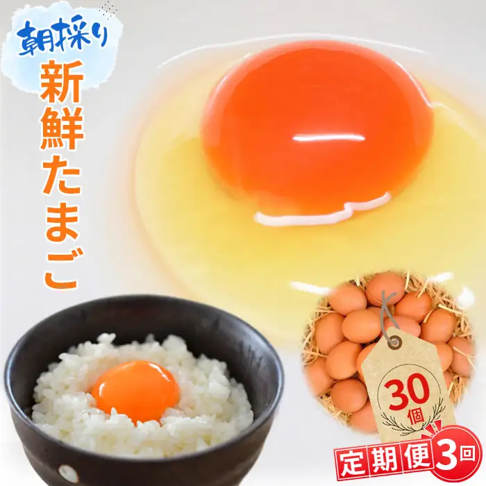 【毎月定期便3回】美味しい産みたて朝採り新鮮たまご（手集卵）ミネラルエッグ30個×3回 ／ 卵 生卵 鶏卵 濃厚 鮮度抜群 朝取り TKG 卵かけご飯 お取り寄せ グルメ 大容量 まとめ買い 詰め合わせ 弁当 お菓子作り お裾分け 産地直送 厳選 旨み コク 安心安全 千葉県 No.068