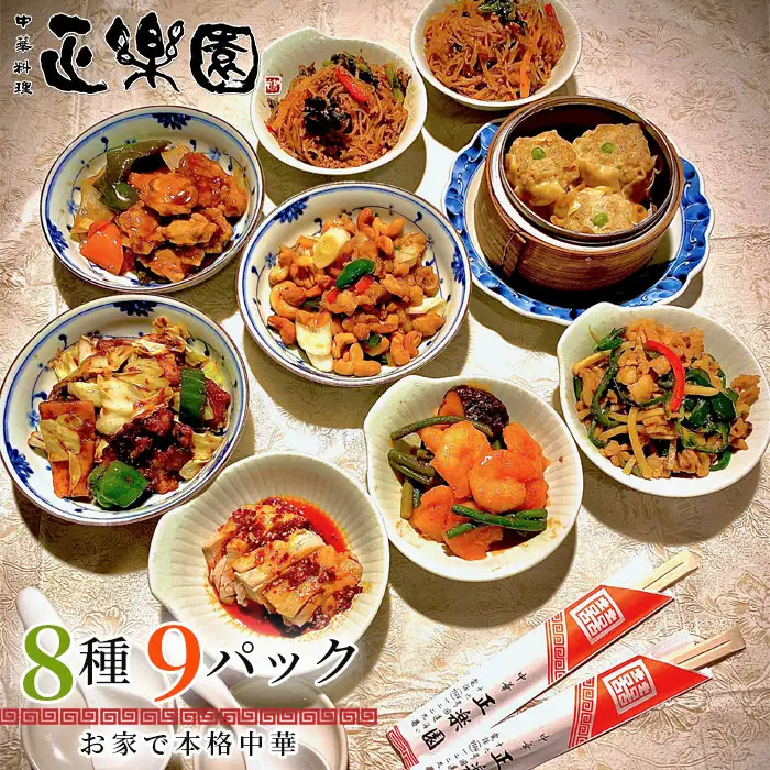 【正楽園】お家で本格中華 彩り中華三昧 満腹セット 8種9パック No.065