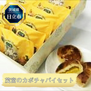 Ｂ-12　茂宮のカボチャパイセット