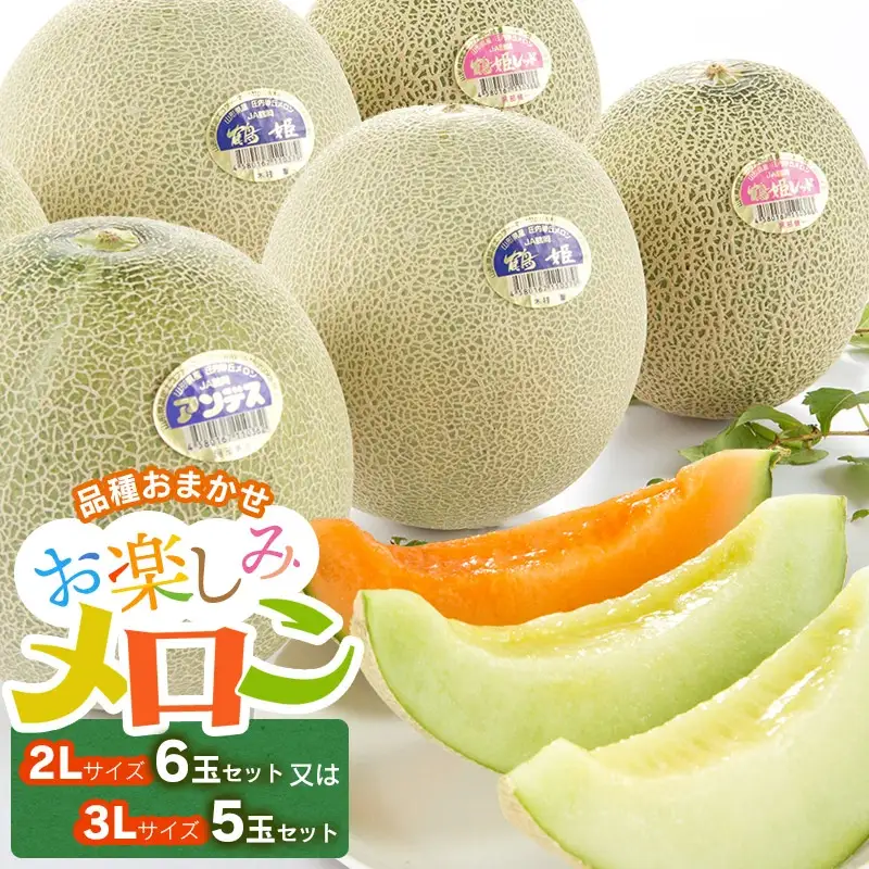 【令和8年産先行予約】お楽しみメロン 3L 5玉セット または 2L 6玉セット 山形県庄内産 K-860　JA鶴岡　| メロン めろん フルーツ 果物 くだもの 夏 旬 デザート 産地直送 山形 鶴岡 庄内 東北 人気 おすすめ 美味しい 国産 お取り寄せ 返礼品