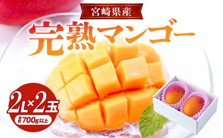 マンゴー 宮崎 マンゴー[完熟 2L 2玉 合計700g以上]