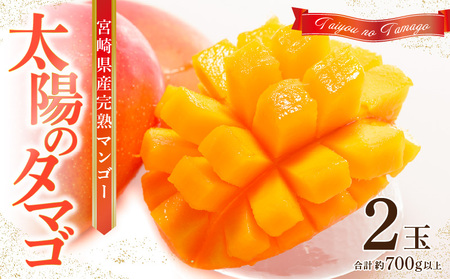 《2026年発送先行予約》【数量・期間限定】宮崎県産 太陽のタマゴ 2玉 国産 マンゴー 完熟 完熟マンゴー 厳選 冷蔵 フルーツ 果物 旬の果物 くだもの 特産品 お取り寄せ 贈答 ギフト